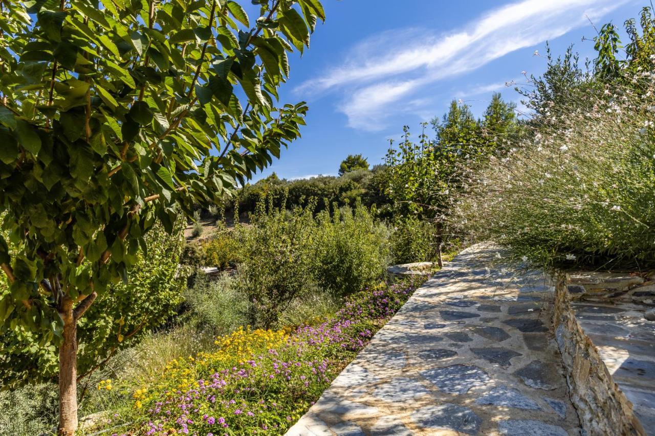 Villa Politimi Luxury Retreat Skopelos Town Exterior foto